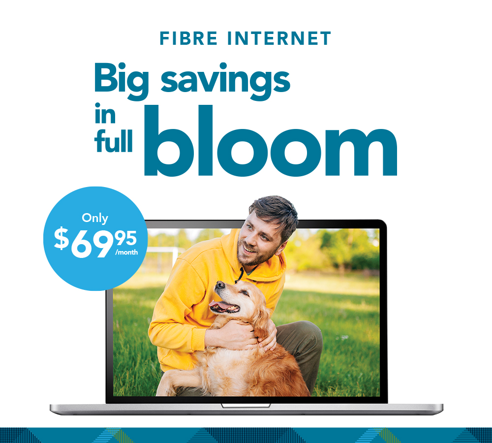 Internet Offer