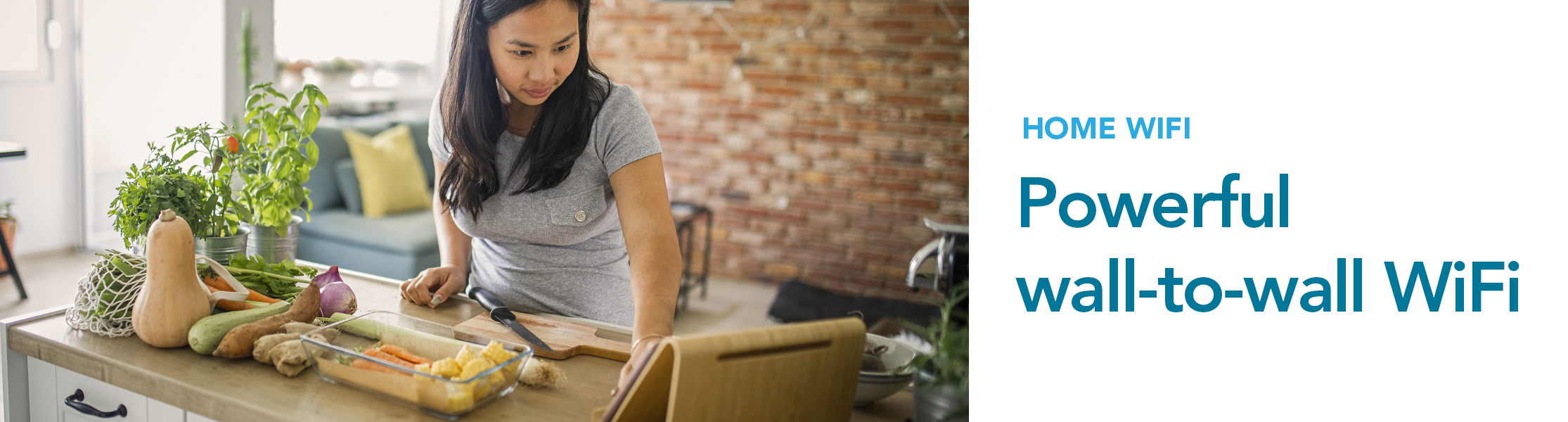 Whole Home WiFi | Tbaytel