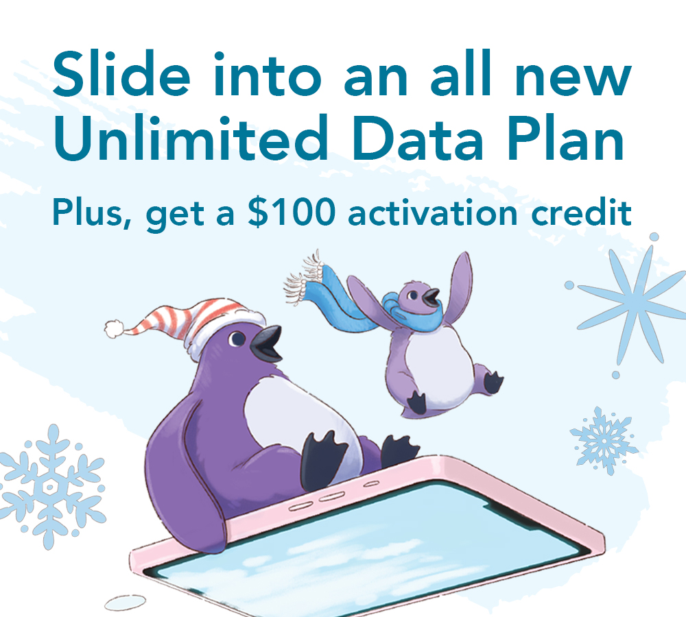 Xmas Sale for Unlimited Data Plans