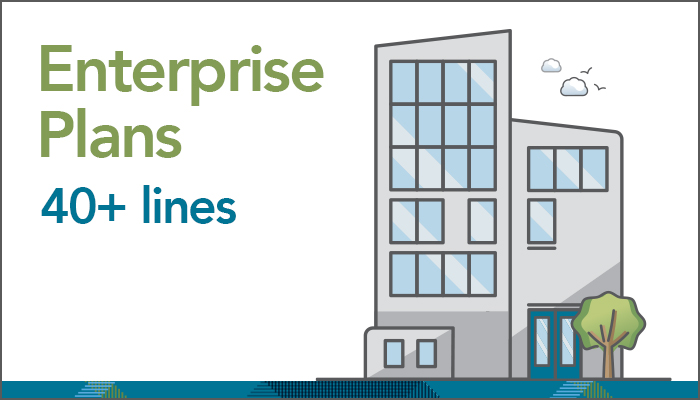 Enterprise (40+ lines)