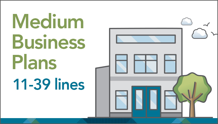 Medium Business (11-39 lines)