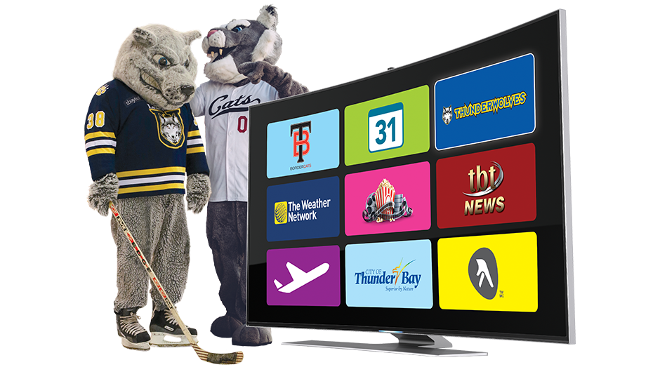 Wolfie and Boomer looking at local content on a TV