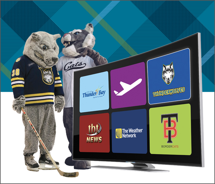 Wolfie and Boomer checking out local content