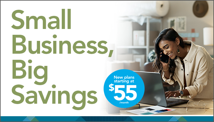 Small Business Plans