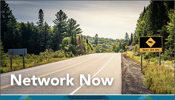 Network Now